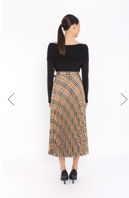 Arggido Skirt With Pleats